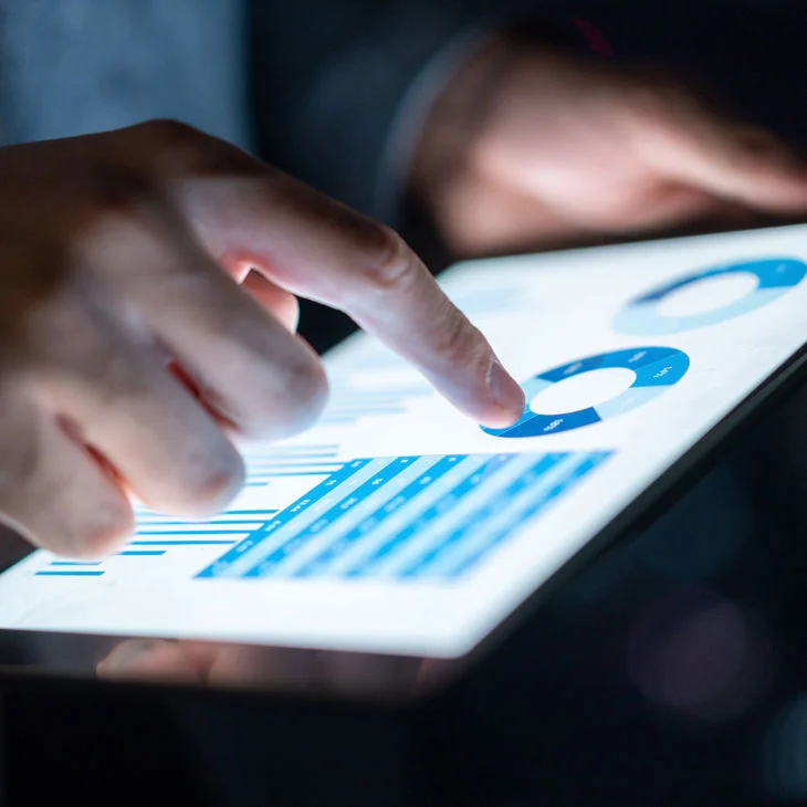 Person analyzing fraud detection data